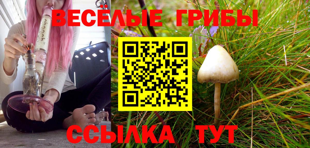 Стрежевой  Псилоцибиновые грибы прущие грибы  Вход с VPN 